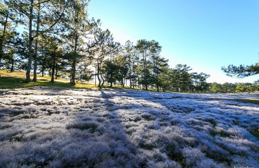 {GIẢI ĐÁP} Chụp ảnh cưới Đà Lạt tháng mấy để cho bộ ảnh cưới ĐẸP nhất?